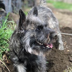 Meet your Posher, Konrad